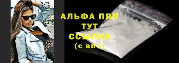 ГАЛЛЮЦИНОГЕННЫЕ ГРИБЫ Богданович