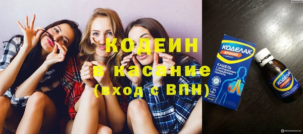 ГАЛЛЮЦИНОГЕННЫЕ ГРИБЫ Богданович
