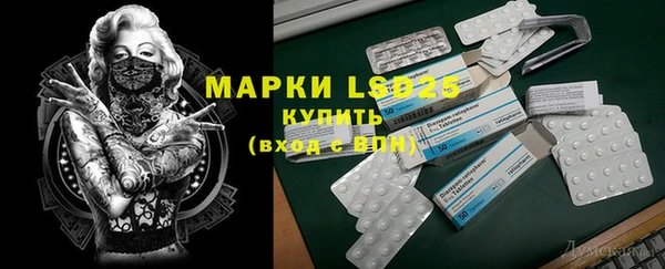 ГАЛЛЮЦИНОГЕННЫЕ ГРИБЫ Богданович