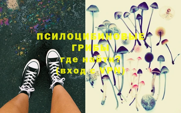 мескалин Богородицк