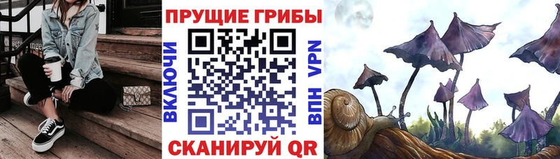 Псилоцибиновые грибы Magic Shrooms  ОМГ ОМГ ONION  Киреевск 